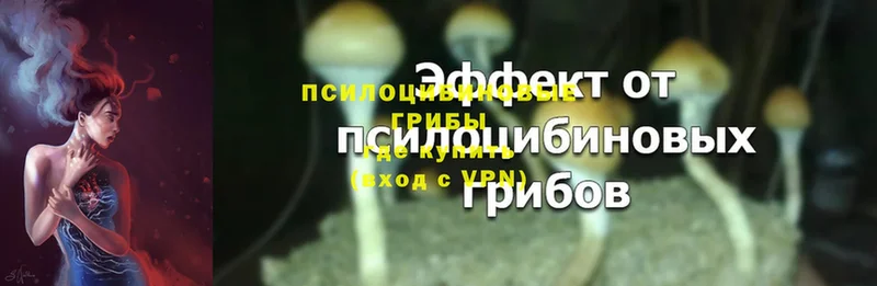 Галлюциногенные грибы Magic Shrooms Реутов